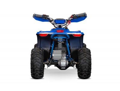 Suzuki kids quad bike store